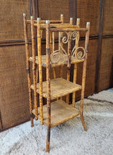 Load image into Gallery viewer, ANTIQUE TORTOISESHELL CANE &#39;CANTERBURY&#39;, MAGAZINE RACK, BOOK STAND, ETC. #1
