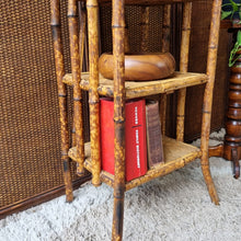 Load image into Gallery viewer, ANTIQUE TORTOISESHELL CANE &#39;CANTERBURY&#39;, MAGAZINE RACK, BOOK STAND, ETC. #1
